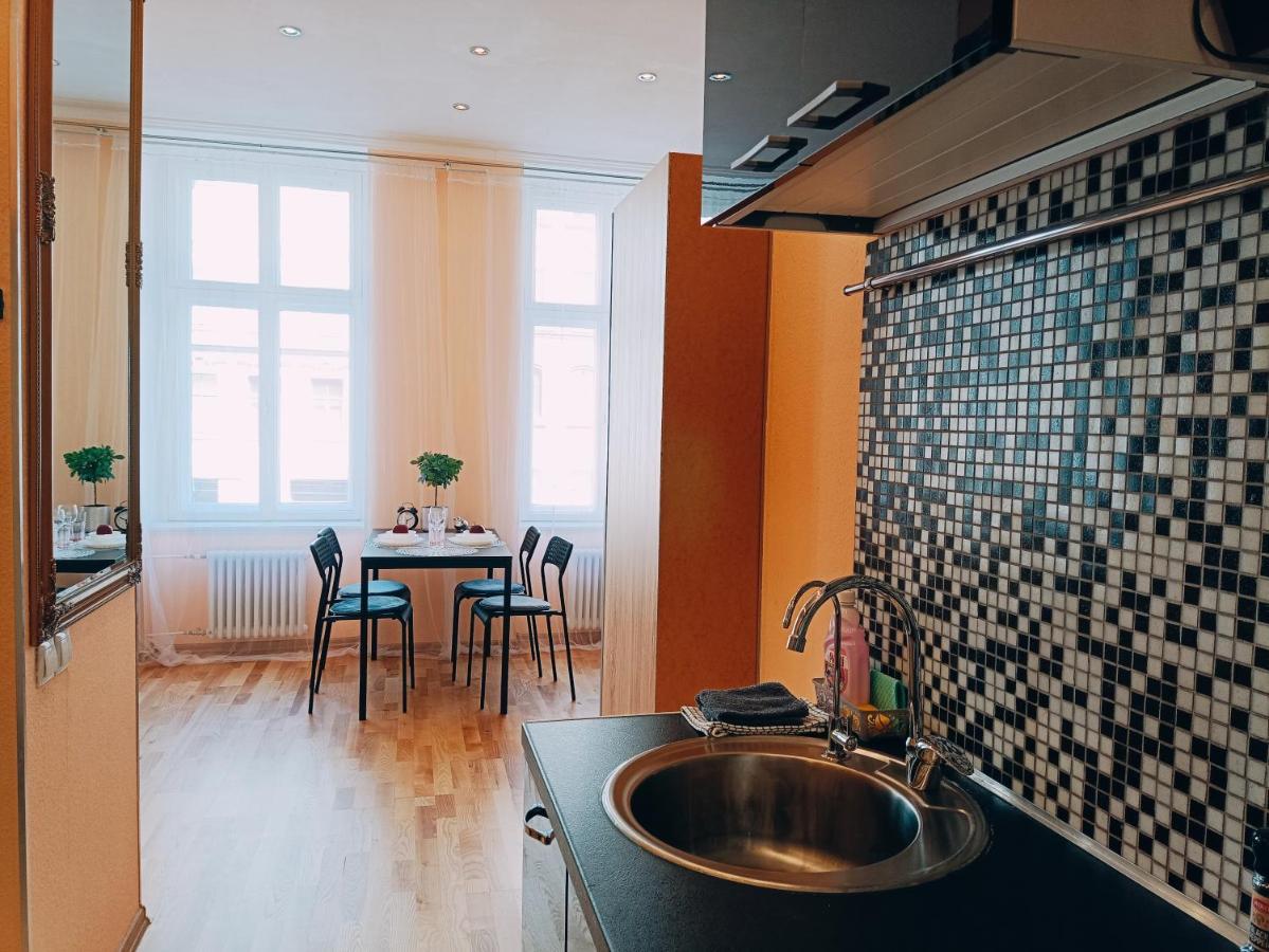 Centrally Located Studio Apartment Ryga Zewnętrze zdjęcie